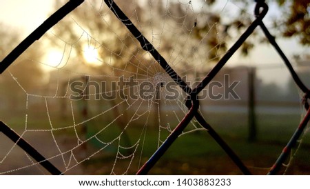 Little spider's web on a football fence - foggy day  during sunrise Royalty-Free Stock Photo #1403883233
