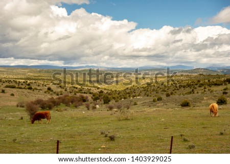 San Bartolome de Pinares, Spain, 25 April 2019: Landscape with far view of mountains on Saint James way, Camino de Levante from Toledo to Avila