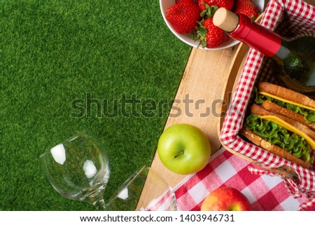 Summer picnic on the grass with a checkered tablecloth and healthy food, flat banner, red wine, glasses, fruits with copyspace