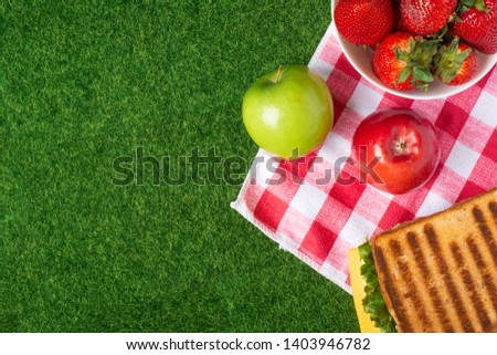 Summer picnic on the grass with checkered tablecloth and healthy food, flat banner, apples, senvich and strawberries with copyspace, romantic getaway, vegan food