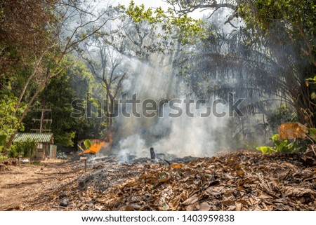 Fire in a tropical forest due to hot climate. a lot of smoke and ash, the sun's rays cut through the trees.