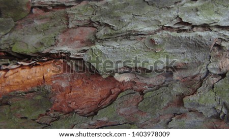 old and wooden planks texture during daytime.