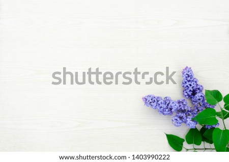 bright branch of lilac in the corners in the workpiece on a light wooden background,  for the preparation of text, invitation, lettering, template, logo, copy space