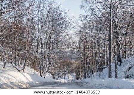 The road in the winter forest. Snow picture. Branches of trees in the snow hang over the road.