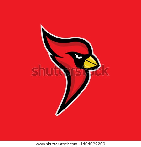 cardinal bird  red color head mascot logo icon designs vector illustration
