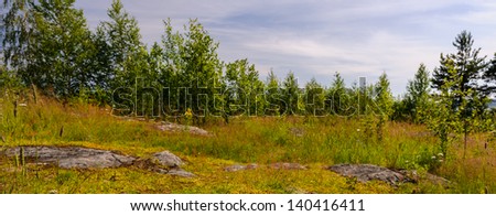 Russiam mountain nature, fir trees, stones and hills