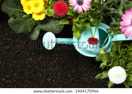 Flat lay composition with gardening equipment and flowers on soil
