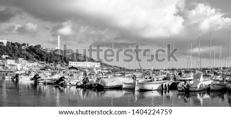 Boats mowed in the marina of Santa Maria di Leuca, large format of the image composed by the merging of three photographic shots, black and white image.