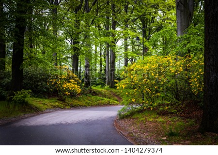 Footpath in a park in spring with trees and greenery