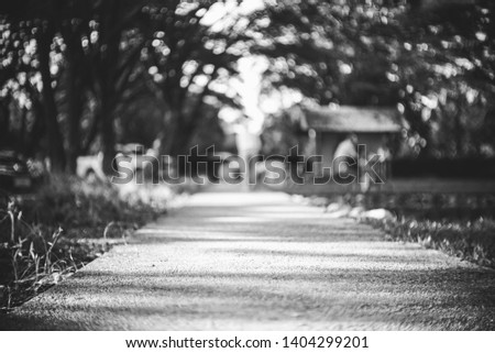 black and white photo garden road 