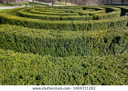Maze of cut bushes in Gothenburg, Sweeden. Bush Labyrinth at Slottsskogen park.