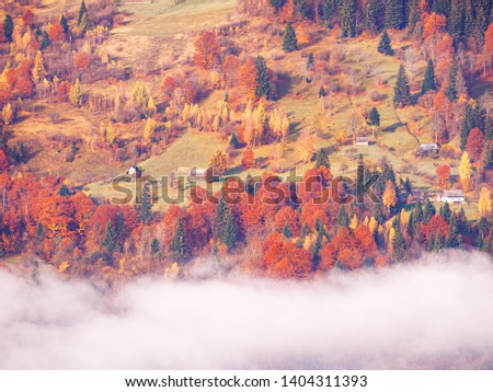 Carpatian village at mountains at the sunny foggy day