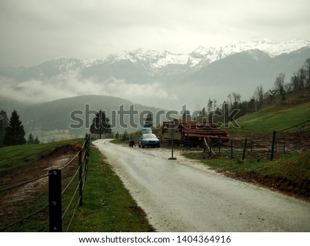 The walley is waking after winter in Triglav National Park in Slovenia near Bonhij lake - cow village curch farming pasture meadow bonhij foggy sheep mountain grazing countryside houses forest car