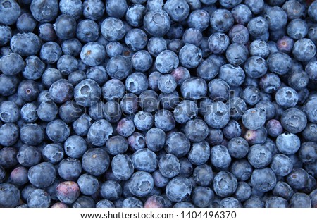 Fresh Bilberries. Close-up background. Shallow DOF Royalty-Free Stock Photo #1404496370