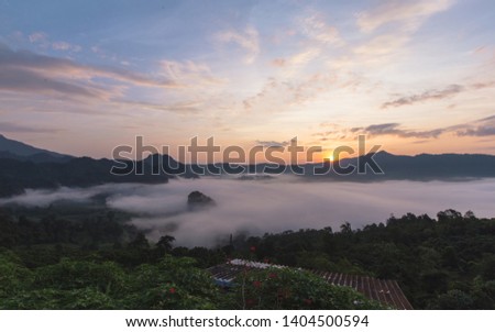 The beautiful mist , forest , mountains and red flowers at sunrise with yellow , blue and vanilla sky cloud in Pha Chang Noi ,Phayao province in northern of Thailand.