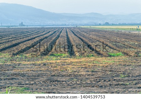 prepared for sowing plowed field in a mountain valley