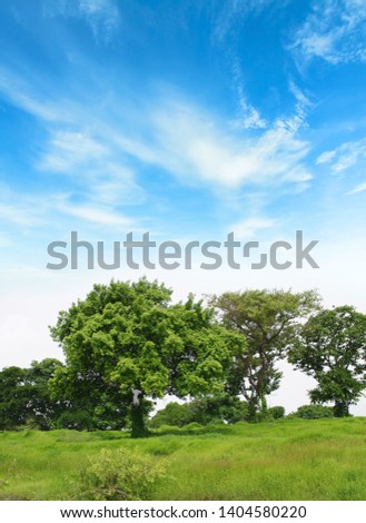 Beautiful bright landscape with blue sky and green foreground