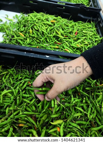Hand holding green chili at supermarket.  