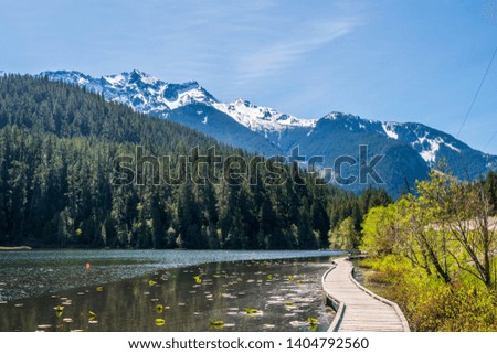 View at Wooden Trail in Park and Lake. Vancouver, Canada.