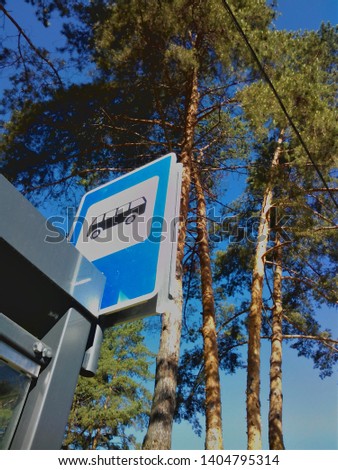 Bus stop sign in the background of pine trees.