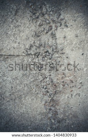 Gray and old concrete wall