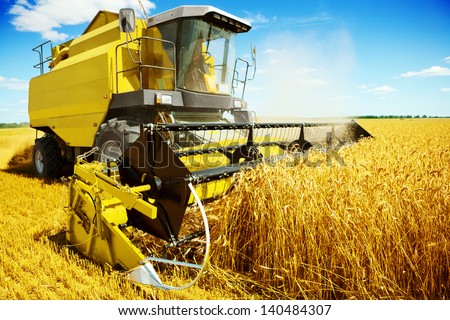an yellow harvester in work Royalty-Free Stock Photo #140484307