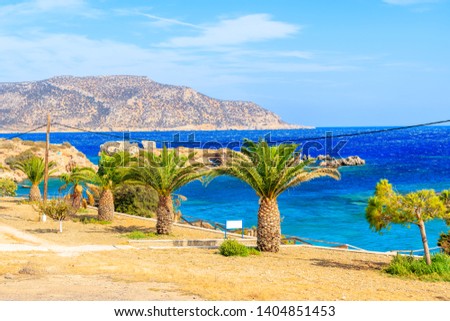 Palm trees on coastal promenade along beautiful sea coast of Karpathos island near Ammopi village, Greece