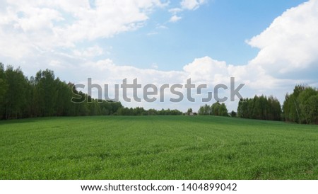 Green field, trees and blue sky.Great as a background
