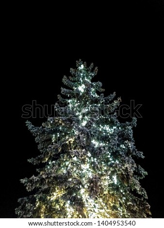 shining christmas tree, new year, christmas