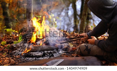 bonfire in the forest in summer
 