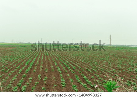 agricultural field. cloudy sky, ready for working in the field