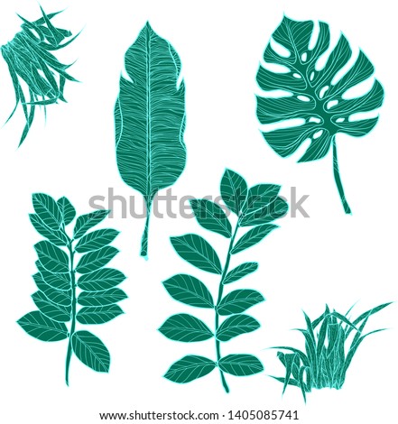 A compilation of illustrations of dark turquoise tropical palm leaves, monsteras