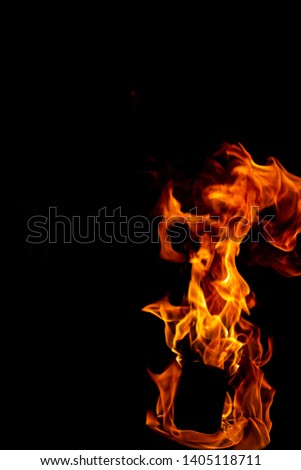 bright flames on a black background, fire