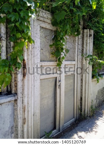 An old garden gate. Wooden white door. On the vines.
 