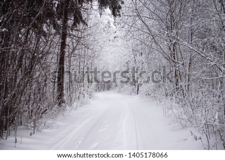 Winter snowy road. Branches of snowy trees hang over the road. Winter landscape. Journey in the winter.