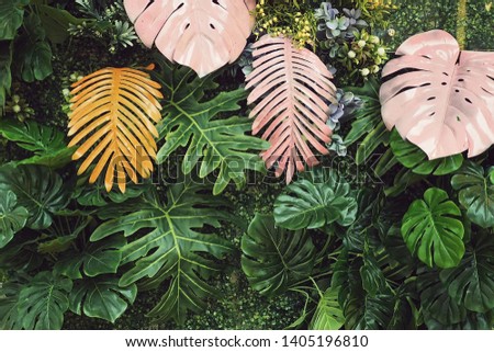summer tropical leaves background decoration wallpaper