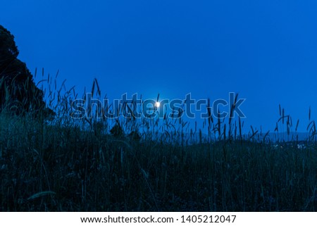 This capture of the landscape was taken under the moon light and you can see the cold tone color of blue that make a beautiful mood to the picture