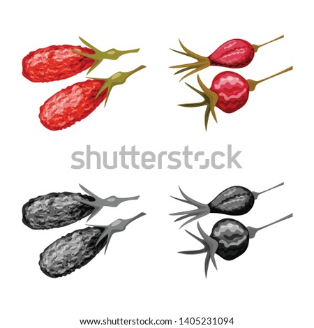 Isolated object of food  and raw  icon. Collection of food  and nature   vector icon for stock.