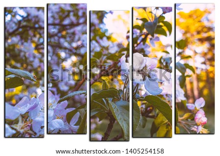 modular picture on white background, white flowers on the branches.
