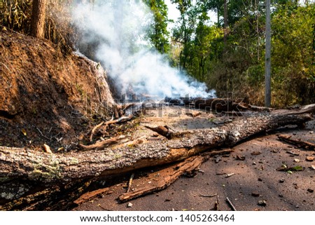 A severe wildfire burnt the trees in the forest until they collapsed and blocked the country road to the mountain village in Chiangmai, Thailand.