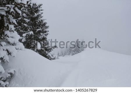 Austria, Bad Hofgastein, winter, skiing, snow, nature.