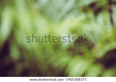 Nature background leaf blurry vintage picture style