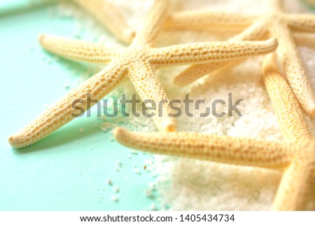 White sand and starfish.
White shell.
background.