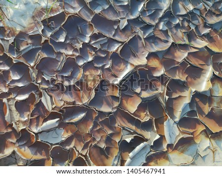 Cracked soil texture background.Abstract background.