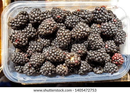 Sweet juicy blackberries in plastic container. Tasty fruity refreshment. Mulberry in package clear plastic box on wood table white color. Blackberries in a plastic box on a wooden table Royalty-Free Stock Photo #1405472753