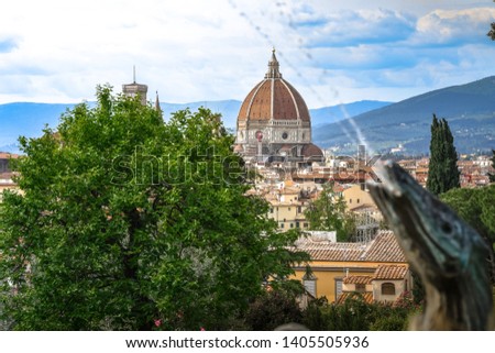 Heaven view of Florence from garden on the roses