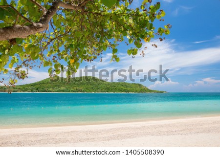 Mountain view and beautiful blue sea and blue sky with the upper left corner of the picture is a branch. Looking from Kham island in Sattahip, Chon Buri, Thailand. 