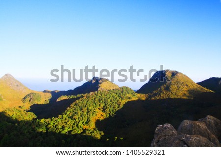 Beautiful grass flowers Landscape of rocky Limestone Mountain and green forest with blu sky at Chiang doa national park in Chiangmai, Thailand