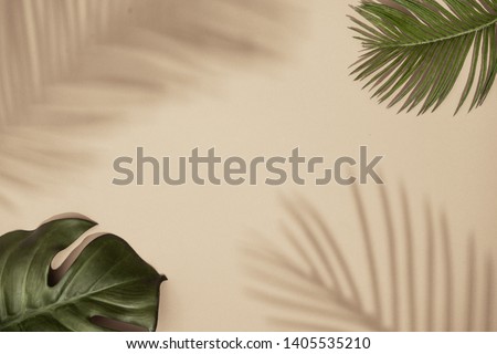 Top view of green tropical leaves and shadow on sand color background. Flat lay. Minimal summer concept with palm tree leaf. Creative copyspace.