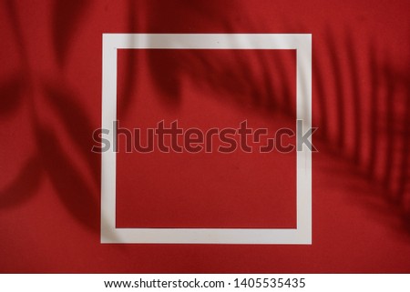 Top view of green tropical leaf shadow on red background. Flat lay. Minimal summer concept with palm tree leaf. Creative copyspace with paper frame.